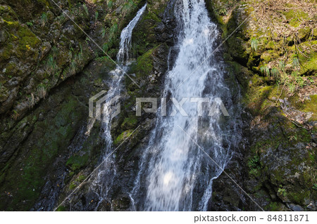 《Hyogo Prefecture》 Quasi-national park, scenery of Tendaki Valley [March] 84811871