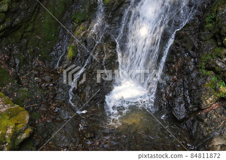 《Hyogo Prefecture》 Quasi-national park, scenery of Tendaki Valley [March] 84811872
