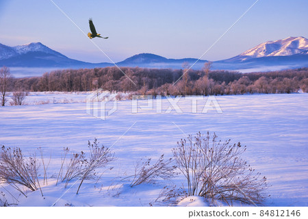 Snow scene in the eastern part of the winter season 84812146