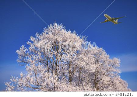 隆冬期間北海道東部地區的霧樹 84812213