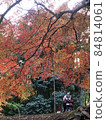 Autumn leaves 84814061