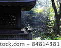 安靜的早晨,樹蔭和燈籠 安靜的早晨,樹蔭和燈籠 84814381