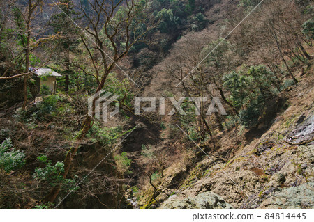 《Hyogo Prefecture》 Quasi-national park, scenery of Tendaki Valley [March] 84814445