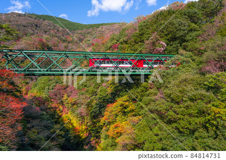 神奈川縣箱根町的紅葉和早川橋 84814731