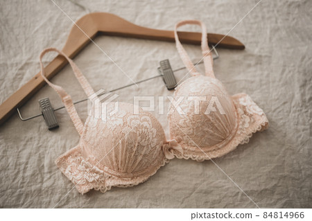 胸罩衣架內衣形像素材 胸罩衣架內衣形像素材 84814966