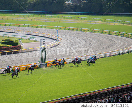 Horse racing turf course 84815361