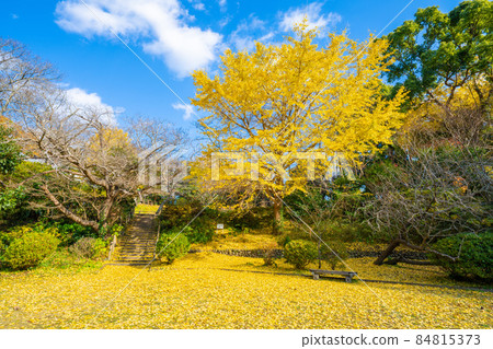 Kuzuhara Oka Shrine in Autumn 84815373