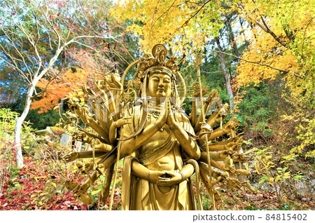 金婚介千手觀音像，膝蓋以上，背景是秋葉林，佐葉町誠林寺 84815402