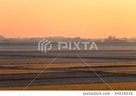 Rural scenery in the early morning (Kashiwa City, Chiba Prefecture) Rural scenery in the early morning (Kashiwa City, Chiba Prefecture) 84816038