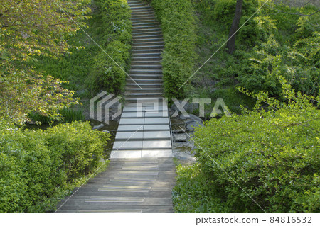 蘭芝川公園步道 蘭芝川公園步道 84816532