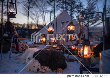 冬令營大型犬幼犬雪地營 84816535