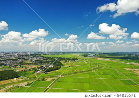 Paddy fields in Abiko City taken aerial Paddy fields in Abiko City taken aerial 84816571