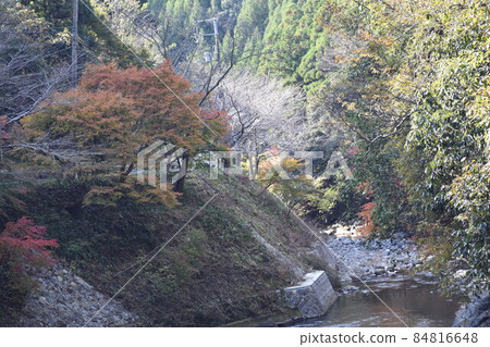 Autumnal trees that decorate the edge of the stream in the mountain village ③ 84816648