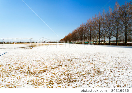 埼玉縣埼玉市大宮肯普格蘭德水杉樹和雪景 埼玉縣埼玉市大宮肯普格蘭德水杉樹和雪景 84816986