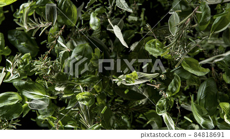 Freeze Motion Shot of Rotating Fresh Herbs. Freeze Motion Shot of Rotating Fresh Herbs. 84818691