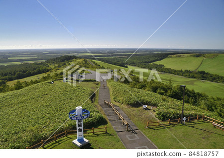 海陽表 海陽表 84818757