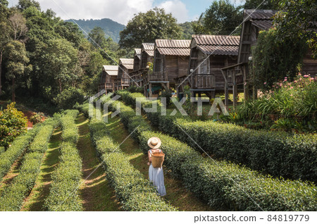 Asian woman carrying basket enjoying in groove of tea plantation 84819779