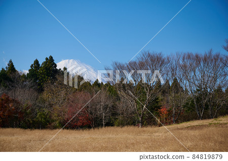 Mt. Fuji with blue sky and snow Mt. Fuji with blue sky and snow 84819879