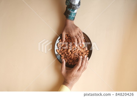top view of hand pick almond nuts top view  84820426