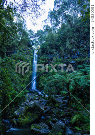 Great Otway National Park Waterfall on Great Ocean Road, Australia Great Otway National Park Waterfall on Great Ocean Road, Australia 84820591
