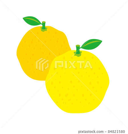 柚子的插圖 柚子的插圖 84821580