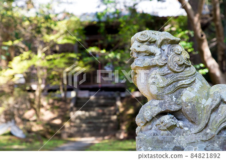 小馬努和森林中的神社 84821892