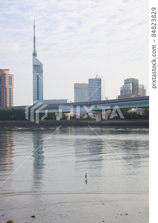 12月室美川河口 84823829