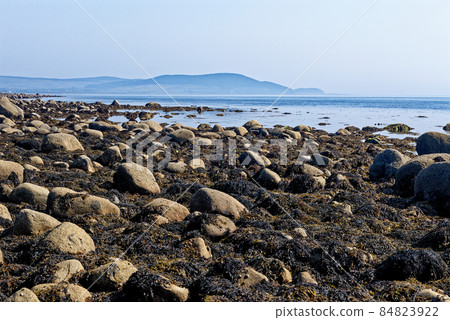 Pebble beach at Machrie Bay - Scotland 84823922