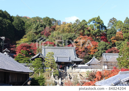 柳谷觀音、長岡京市、長岡京站、長岡天神站、京都府、賞秋葉旅遊勝地、後津院 柳谷觀音、長岡京市、長岡京站、長岡天神站、京都府、賞秋葉旅遊勝地、後津院 84824204