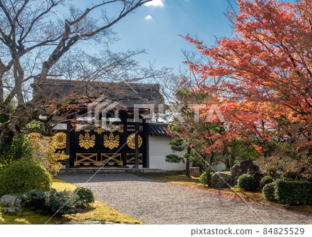 Daigoji Sanpoin 唐門和秋葉 84825529