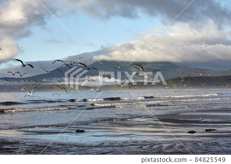Sea landscape on sunrise. Kunashir island. 84825549