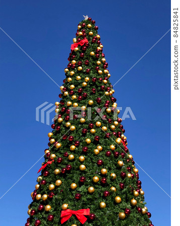 Blue sky and Christmas tree 84825841