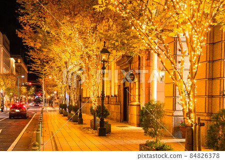 《兵庫縣》神戶舊居/冬季燈飾 84826378