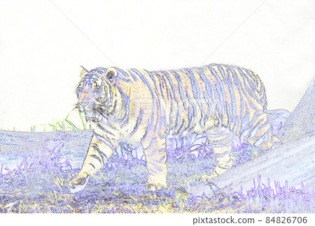 Tiger tiger New Year's card material 2022 New Year's card material Amur tiger tiger year postcard image material Tiger tiger New Year's card material 2022 New Year's card material Amur tiger tiger year postcard image material 84826706
