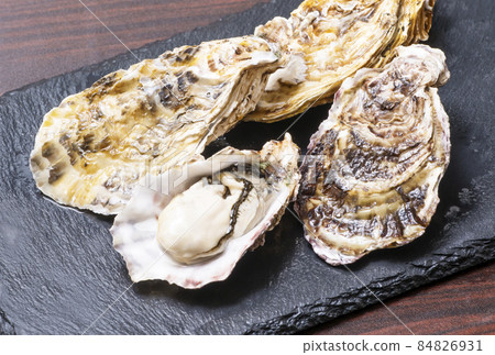 Raw oysters, rock oysters, rock oysters, raw oysters, oysters, Uramura oysters 84826931