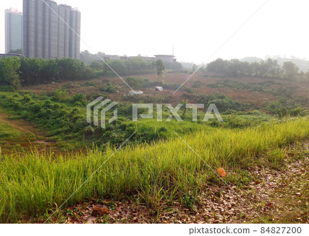 JOHOR, MALAYSIA -MARCH 5, 2021: Site clearing works and formation of building platforms for construction are underway. This work is done using heavy machinery. JOHOR, MALAYSIA -MARCH 5, 2021: Site clearing works and formation of building platforms for construction are underway. This work is done using heavy machinery. 84827200