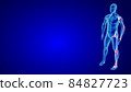 Joint Pain illustration from side view. Blue Human Anatomy Body 3D Scan render on blue background 84827723