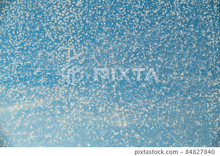 Snowflakes on a window Snowflakes on a window 84827840