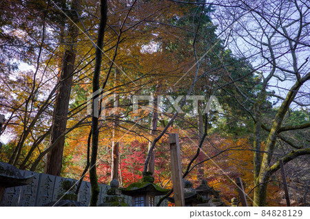 Very beautiful scenery of Kotohiragu Shrine in Kagawa Prefecture, Japan Very beautiful scenery of Kotohiragu Shrine in Kagawa Prefecture, Japan 84828129