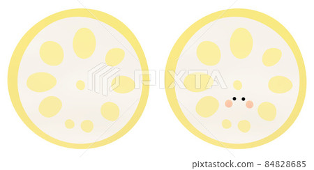 Cross section of mustard lotus root with and without face Cross section of mustard lotus root with and without face 84828685