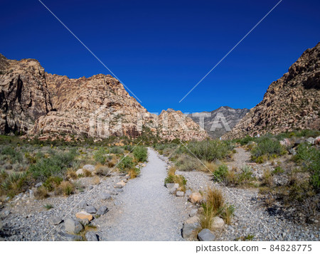 Sunny view of the landscape of Red Rock Canyon 84828775