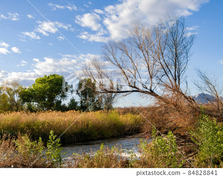 Sunny view of the landscape in Las Vegas Wash Sunny view of the landscape in Las Vegas Wash 84828841