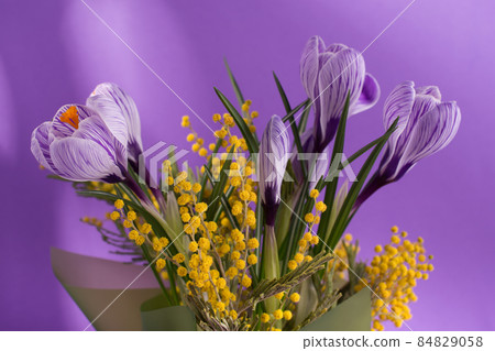 Beautiful spring bouquet of crocuses and mimosa flowers. 84829058