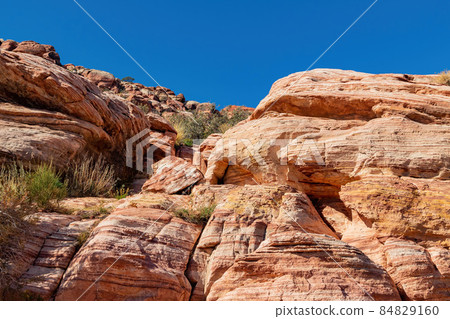 Sunny view of the landscape in Calico Basin Trail 84829160