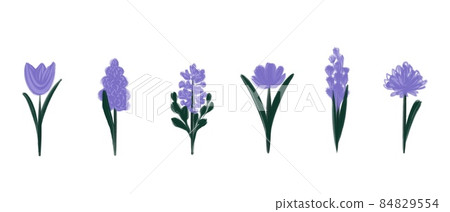 Set of Abstract purple Flowers painted with Acrylic isolated on white background. Hand drawn flower buds. Very Peri color. 84829554