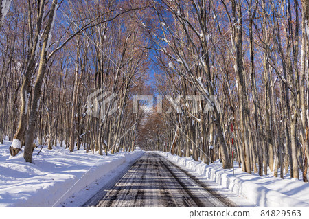 Hakkoda在初冬 Hakkoda在初冬 84829563