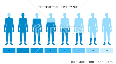 Testosterone level chart Testosterone level chart 84829570