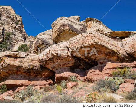Sunny view of the landscape of Red Rock Canyon Sunny view of the landscape of Red Rock Canyon 84829859