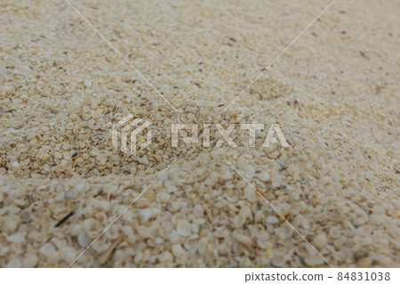 Shells on Shell Beach near Monkey Mia, Australia 84831038