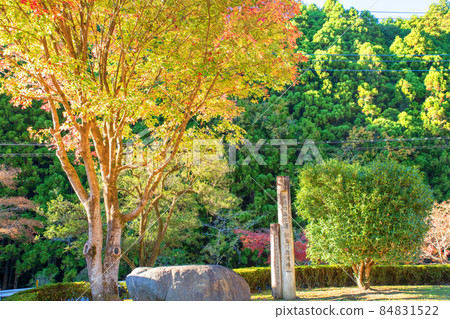 桐生川源頭林 百選水源林 紅葉季節 秋景 桐生川源頭林 百選水源林 紅葉季節 秋景 84831522
